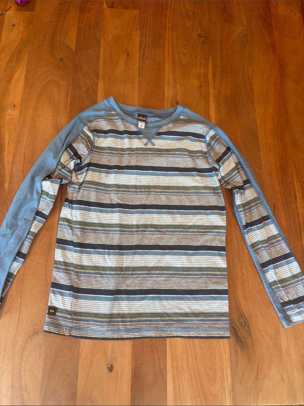 Tea Collection Blue Striped Long-Sleeve Tee